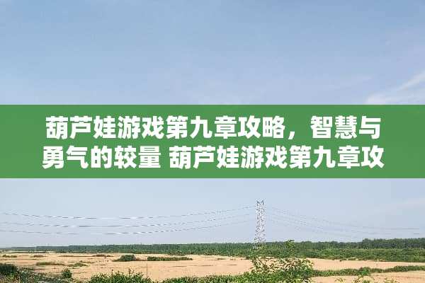 葫芦娃游戏第九章攻略，智慧与勇气的较量 葫芦娃游戏第九章攻略