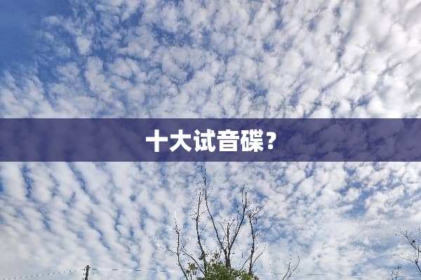 十大试音碟？