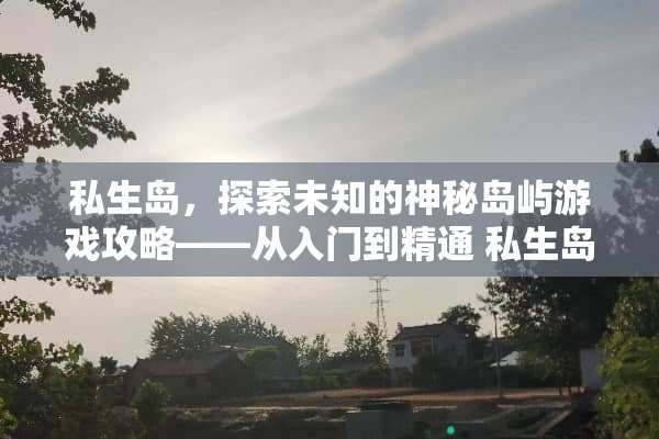私生岛，探索未知的神秘岛屿游戏攻略——从入门到精通 私生岛游戏攻略