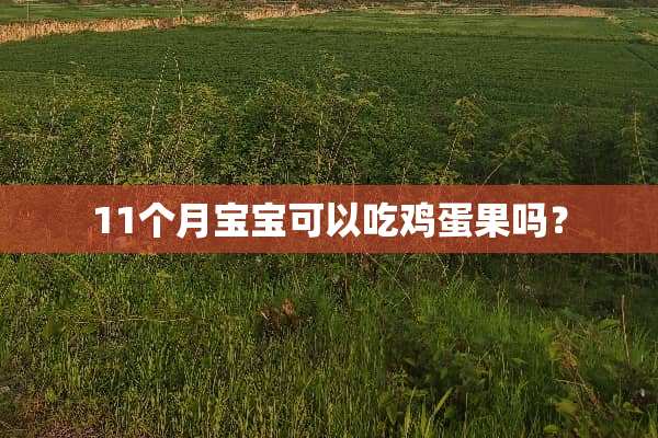 11个月宝宝可以吃鸡蛋果吗？