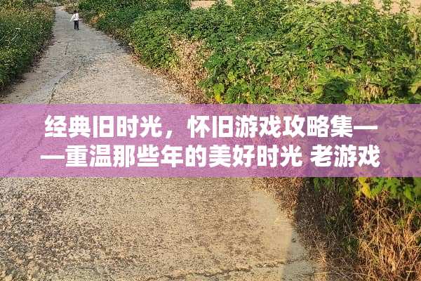 经典旧时光，**游戏攻略集——重温那些年的美好时光 老游戏旧时光攻略