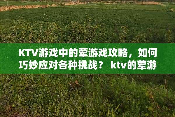 KTV游戏中的荤游戏攻略，如何巧妙应对各种挑战？ ktv的荤游戏攻略