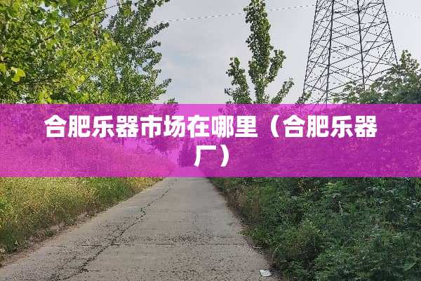 合肥乐器市场在哪里（合肥乐器厂）