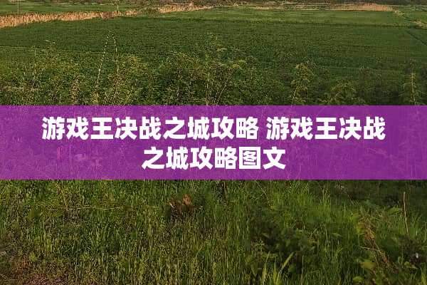游戏王决战之城攻略 游戏王决战之城攻略图文