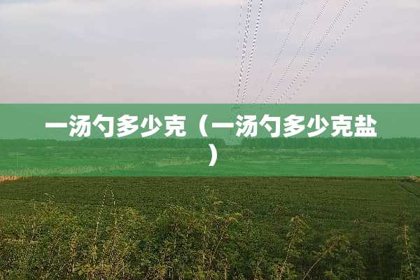 一汤勺多少克（一汤勺多少克盐）