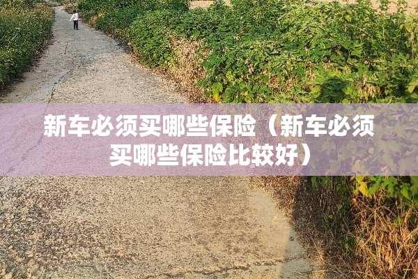新车必须买哪些保险（新车必须买哪些保险比较好）