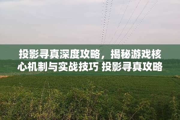 投影寻真深度攻略，揭秘游戏核心机制与实战技巧 投影寻真攻略