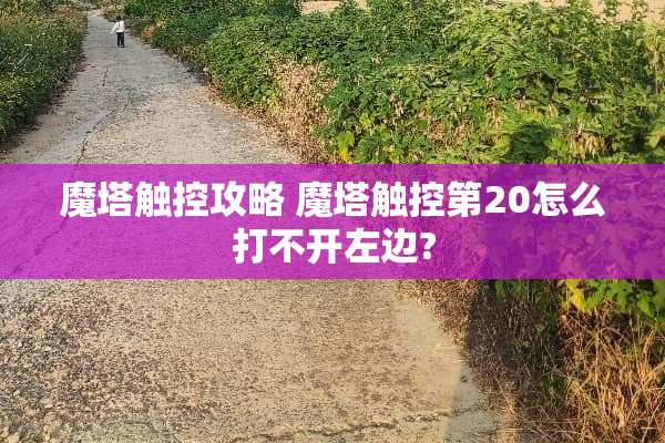 魔塔触控攻略 魔塔触控第20怎么打不开左边?