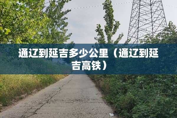通辽到延吉多少公里（通辽到延吉高铁）