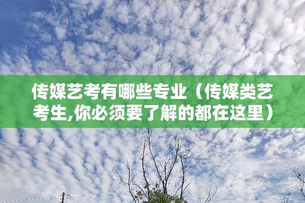 传媒艺考有哪些专业（传媒类艺考生,你必须要了解的都在这里）