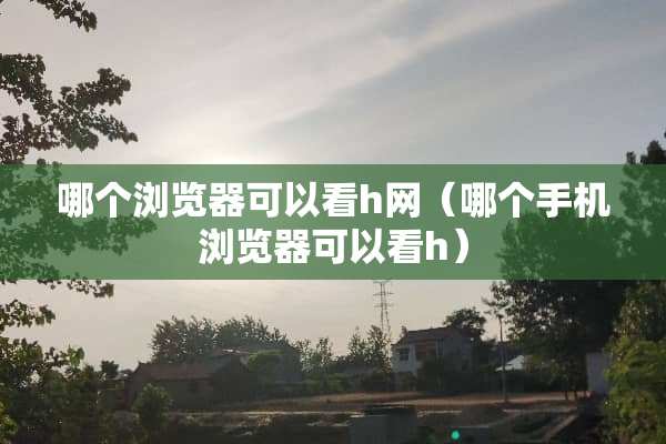 哪个浏览器可以看h网（哪个手机浏览器可以看h）
