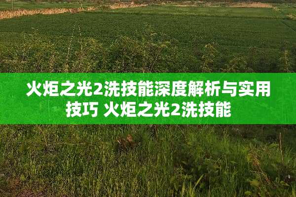 火炬之光2洗技能深度解析与实用技巧 火炬之光2洗技能