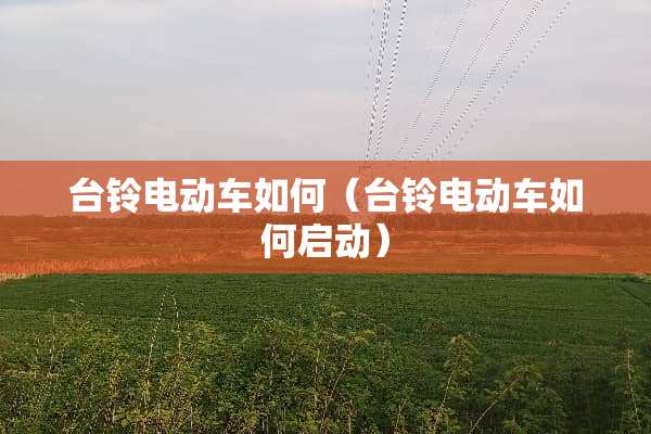 台铃电动车如何（台铃电动车如何启动）
