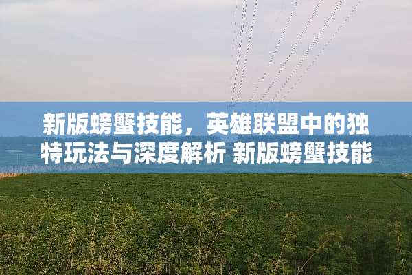 新版螃蟹技能，英雄联盟中的独特玩法与深度解析 新版螃蟹技能