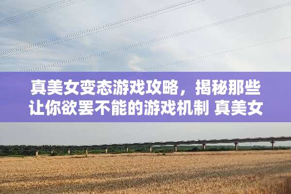 真****游戏攻略，揭秘那些让你欲罢不能的游戏机制 真****游戏攻略