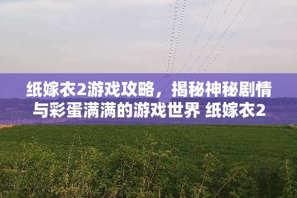 纸嫁衣2游戏攻略，揭秘神秘剧情与彩蛋满满的游戏世界 纸嫁衣2游戏攻略