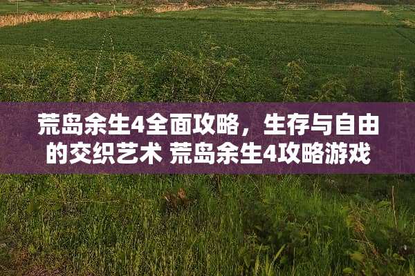 荒岛余生4全面攻略，生存与自由的交织艺术 荒岛余生4攻略游戏