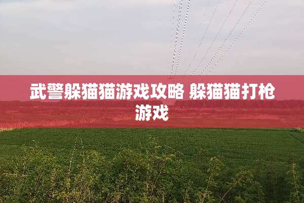 *****游戏攻略***打*游戏