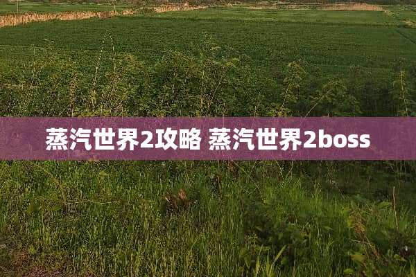 蒸汽世界2攻略 蒸汽世界2boss