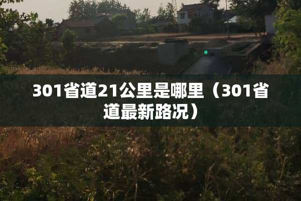 301省道21公里是哪里（301省道最新路况）