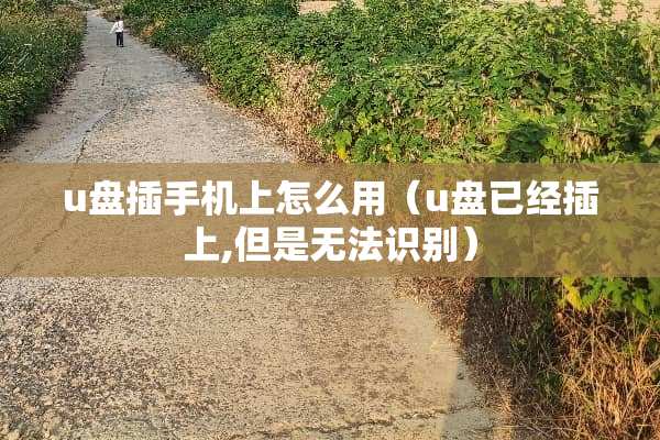 u盘插手机上怎么用（u盘已经插上,但是无法识别）