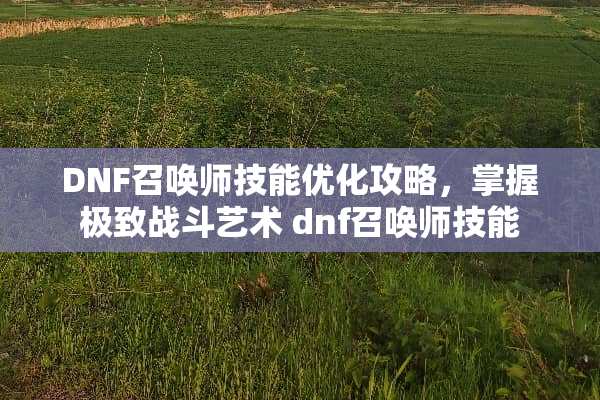 DNF召唤师技能优化攻略，掌握极致战斗艺术 dnf召唤师技能
