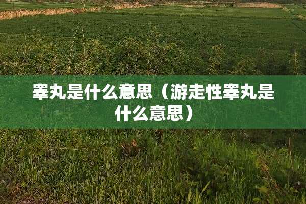**是什么意思（游走性**是什么意思）
