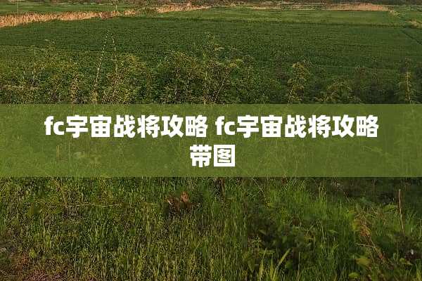 fc宇宙战将攻略 fc宇宙战将攻略带图