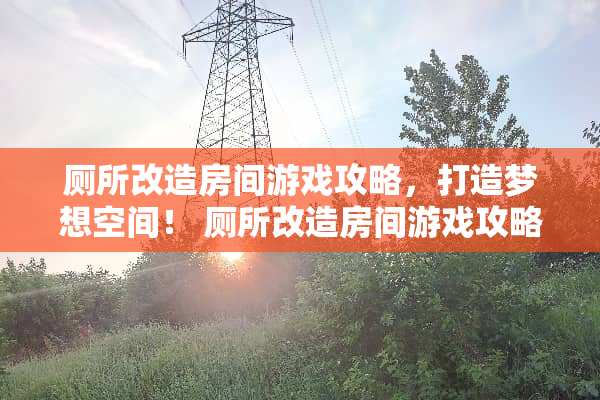 厕所改造房间游戏攻略，打造梦想空间！ 厕所改造房间游戏攻略