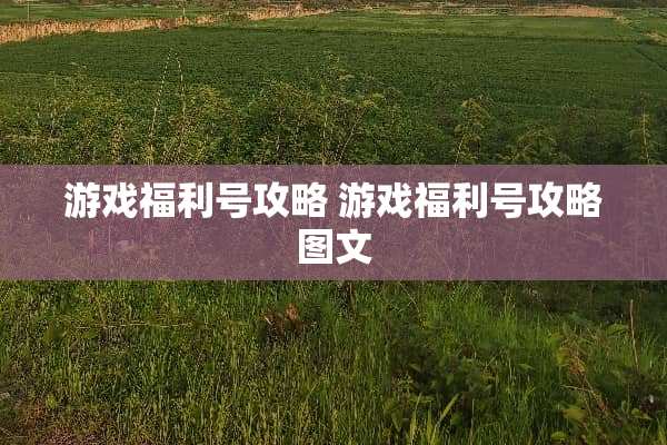 游戏福利号攻略 游戏福利号攻略图文