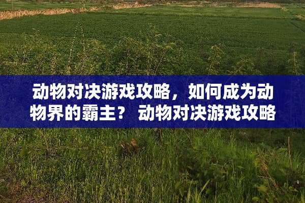 动物对决游戏攻略，如何成为动物界的霸主？ 动物对决游戏攻略