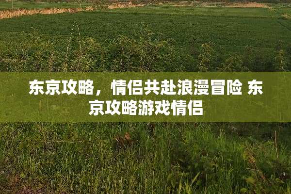东京攻略，情侣共赴浪漫冒险 东京攻略游戏情侣