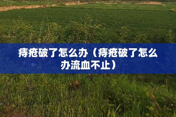 痔疮破了怎么办（痔疮破了怎么办流血不止）