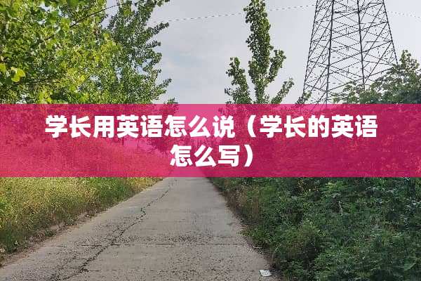 学长用英语怎么说（学长的英语怎么写）