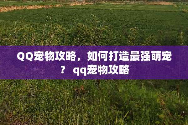 QQ宠物攻略，如何打造最强萌宠？ qq宠物攻略