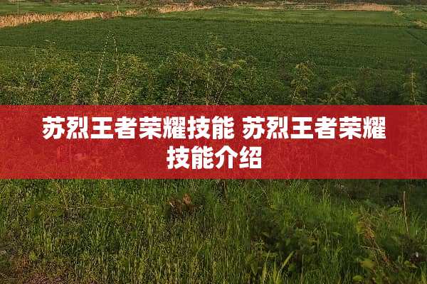 苏烈王者荣耀技能 苏烈王者荣耀技能介绍