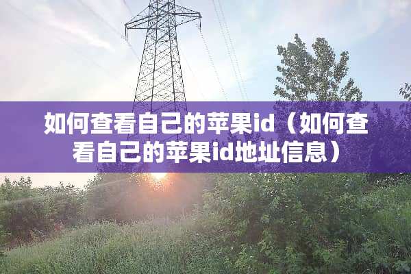 如何查看自己的苹果id（如何查看自己的苹果id地址信息）