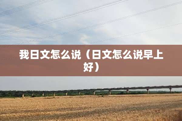 **文怎么说（日文怎么说早上好）
