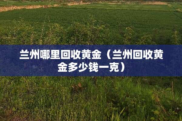 兰州哪里回收黄金（兰州回收黄金多少钱一克）