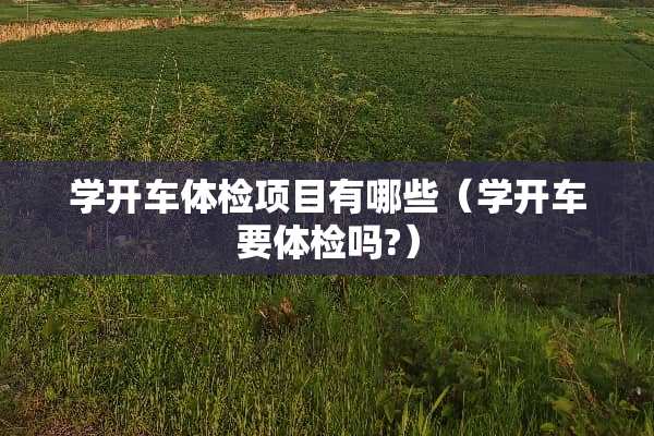 学开车体检项目有哪些（学开车要体检吗?）
