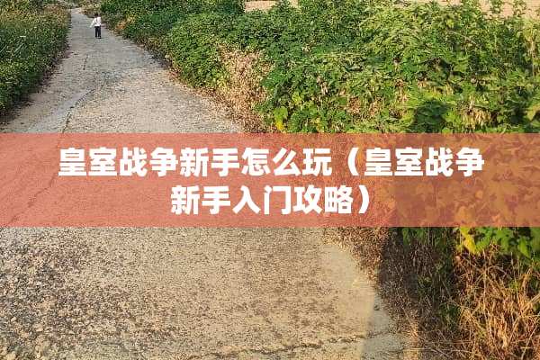 皇室战争新手怎么玩（皇室战争新手入门攻略）