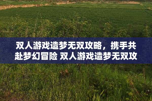双人游戏造梦无双攻略，携手共赴梦幻冒险 双人游戏造梦无双攻略