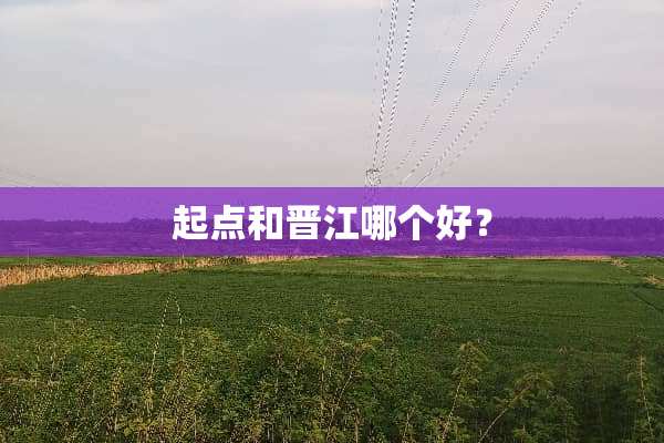 起点和晋江哪个好？
