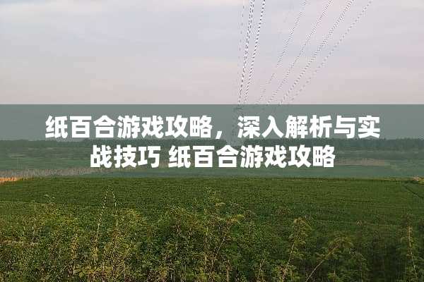纸百合游戏攻略，深入解析与实战技巧 纸百合游戏攻略
