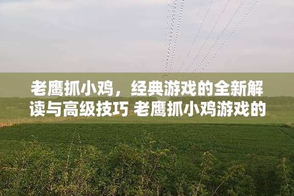 老鹰抓小鸡，经典游戏的全新解读与高级技巧 老鹰抓小鸡游戏的玩法