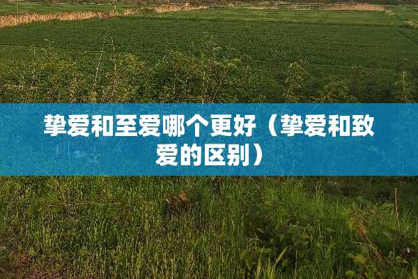 挚爱和至爱哪个更好（挚爱和致爱的区别）