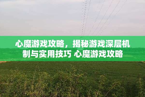 心魔游戏攻略，揭秘游戏深层机制与实用技巧 心魔游戏攻略