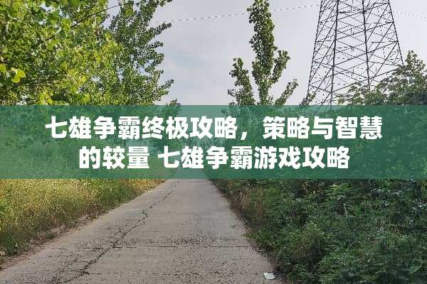 七雄争霸终极攻略，策略与智慧的较量 七雄争霸游戏攻略