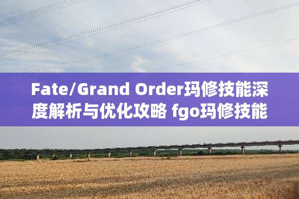 Fate/Grand Order玛修技能深度解析与优化攻略 fgo玛修技能