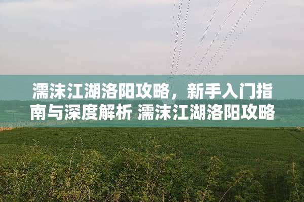 濡沫江湖洛阳攻略，新手入门指南与深度解析 濡沫江湖洛阳攻略